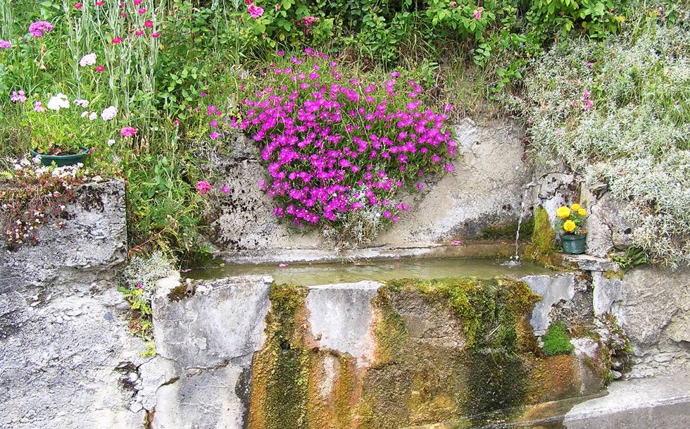 Abrevoir fleuri de Cathervielle