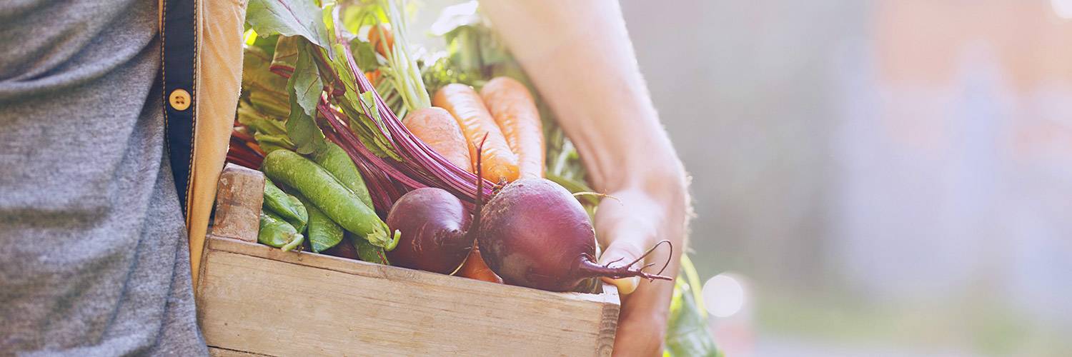 homme portant un panier de légumes